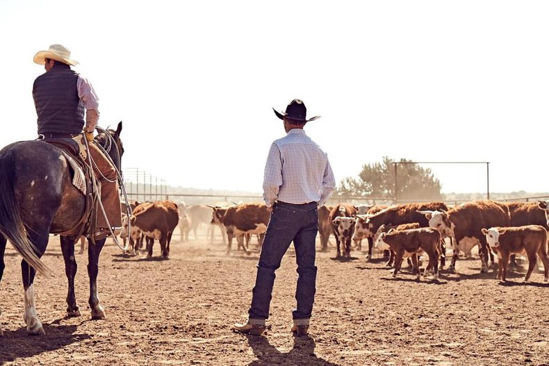 Weeks Ranch W.H. Ranch Dungarees Release 3 New Styles of Jeans!